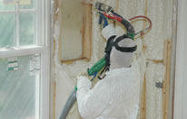 Biobased Insulation Case Study