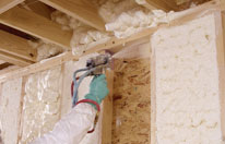 Biobased Insulation Case Study