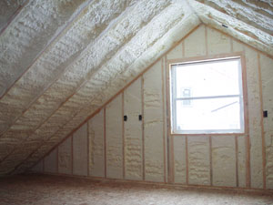 Biobased Insulation Ireland