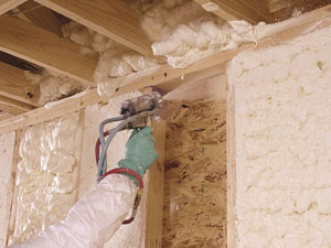 Biobased Insulation Ireland